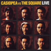 casiopea & the square