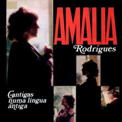 O Meu é Teu by Amália Rodrigues
