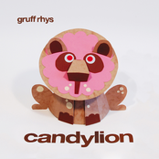 Con Cariño by Gruff Rhys