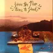 Where The Neon Turns To Wood