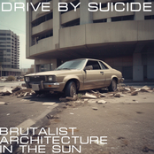 Drive By Suicide