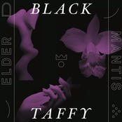 Black Taffy: Lantern Flies In Mist