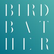 Birdbather