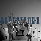 rock group tiger