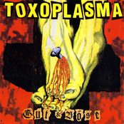 Wasted Life by Toxoplasma