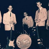 the surfaris