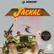 Jackal