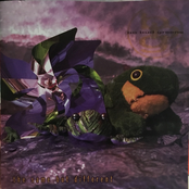 The Same But Different