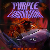 Purple Lamborghini