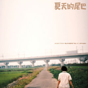 夏天的尾巴