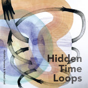 Hidden Time Loops