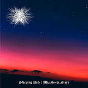 Sleeping Under Alqualondë Stars