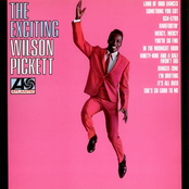 a man and a half: the best of wilson pickett