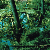 The Trial of St. Orange