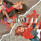 Roadkill