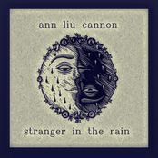 Stranger In the Rain