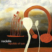 Too Late by Nedelle