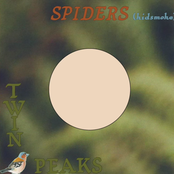 Spiders (Kidsmoke)