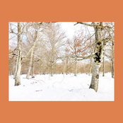 Uit het einde kroop leed een nieuw seizoen tegemoet