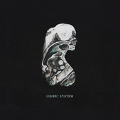 Zealyn: Limbic System