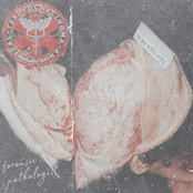 FORENSIC PATHOLOGIST