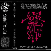 Trip To Tänzelvania