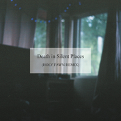 Death in Silent Places (HOLY FAWN Remix)