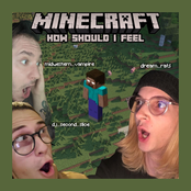 MINECRAFT, HOW SHOULD I FEEL