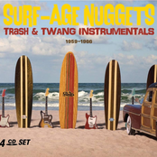 Surf Age Nuggets