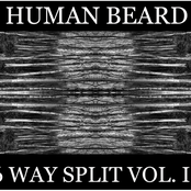Human Beard 6Way Split Vol: II