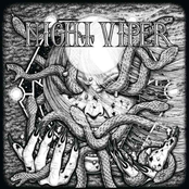Night Viper Album Picture