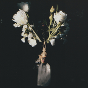 Qual: Cupio Dissolvi - E.P