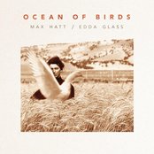 Max Hatt / Edda Glass - Ocean of Birds Artwork