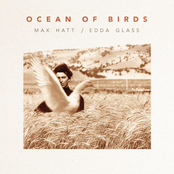 Ocean Of Birds