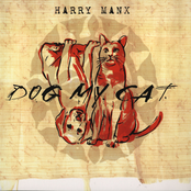 Harry Manx: Dog My Cat