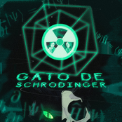 Gato de Schrödinger (Chronoverso)