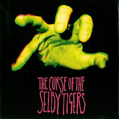 Curse of the Selby Tigers