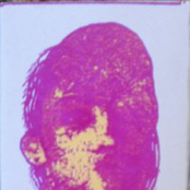 We're All Pink On The Inside [Cassette]