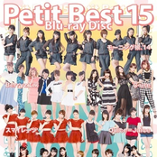 プッチベスト 15