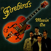 Love Came To Me by The Firebirds