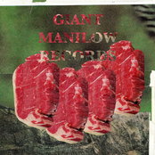 Slabs: a Giant Manilow Records sampler 2002​-​2015