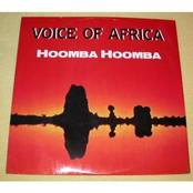 voice of africa