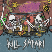 Kill Safari