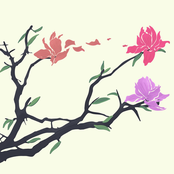 Sajjan Raj Vaidya: Naganya Maya