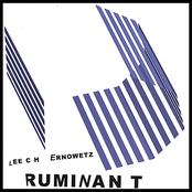 Ruminant