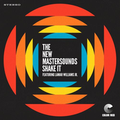 The New Mastersounds: Shake It