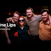 Wine Lips: Wine Lips on Audiotree Live