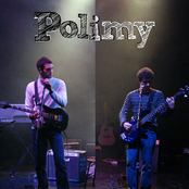 polimy