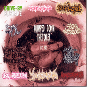 Dumped Down The Toilet 10 Way