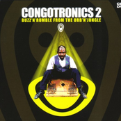 Congotronics 2: Buzz'n'Rumble from the Urb'n'Jungle